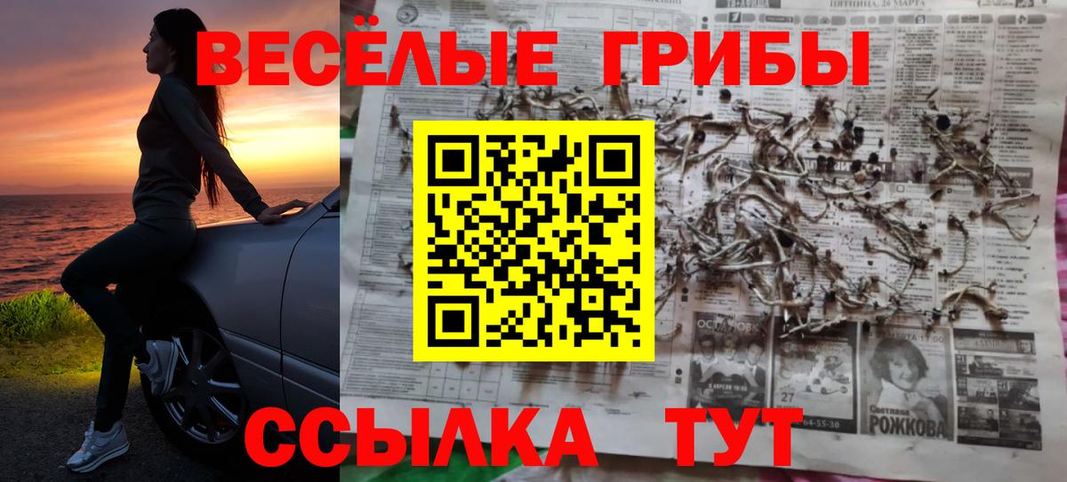 Псилоцибиновые грибы GOLDEN TEACHER  Вход с VPN  Серпухов  Галлюциногенные грибы Magic Shrooms 
